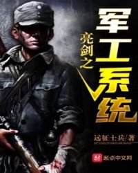 亮劍之軍工系統