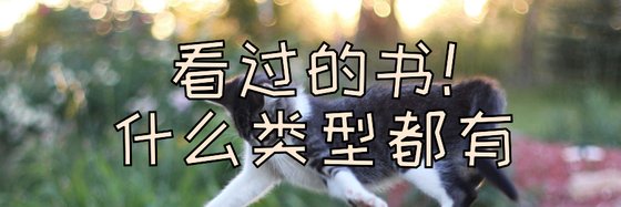 看過的書！什麼型別都有