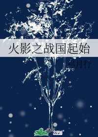 火影之戰國起始